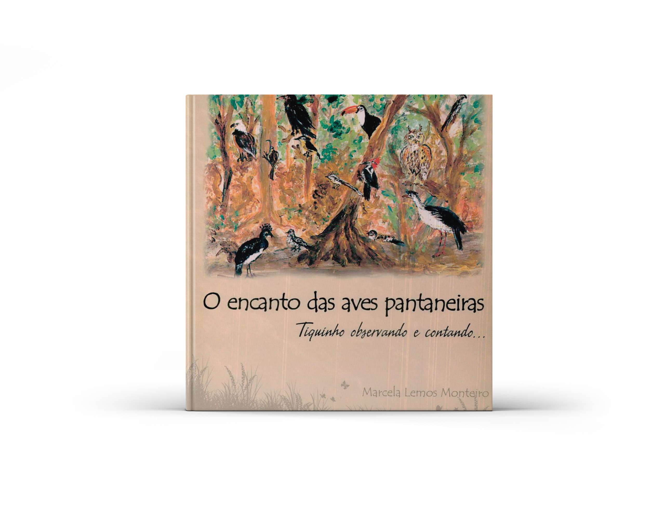O encanto das aves pantaneiras: Tiquinho observando e contando…